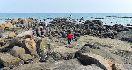 CHONBURI, THAILAND - 10 APR : Stones at Bangsaen beach on 10 April 2022 in Bangsaen, Chonburi, Thailandのeditorial素材