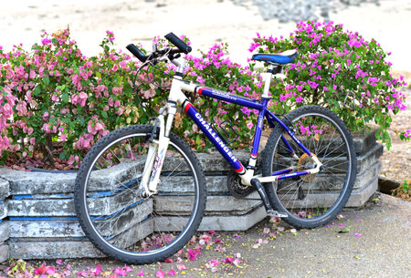 CHONBURI, THAILAND - 10 APR : Mountain bike parking beside flower pot on 10 April 2022 in Chonburi, Thailandのeditorial素材