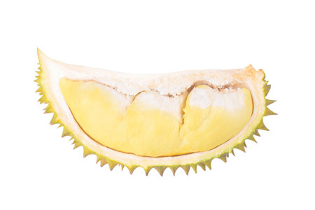 Durian fruit sliced isolated on white backgroundの写真素材