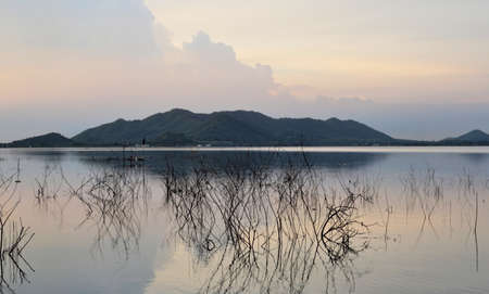 Nice landscape, Silhouette tree with reflection in lake with mountain and sky backgroundの写真素材