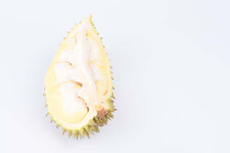 Durain fruit isolated on white backgroundの写真素材