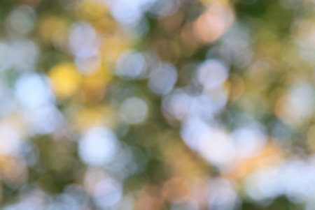 Abstract bokeh background, Nature and blurred backgroundの写真素材