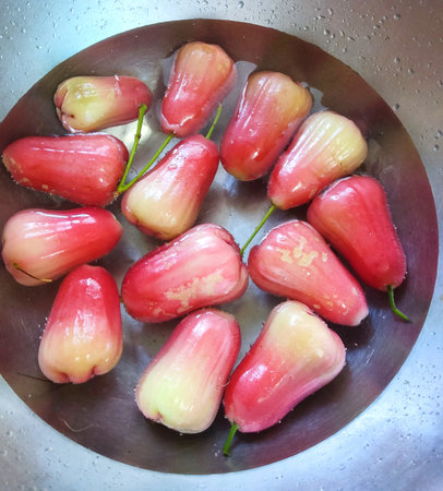 Rose apple washed in sink, High angle viewの写真素材
