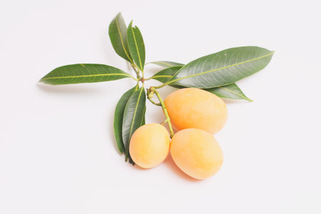 Marian plum fruit isolated on white backgroundの写真素材