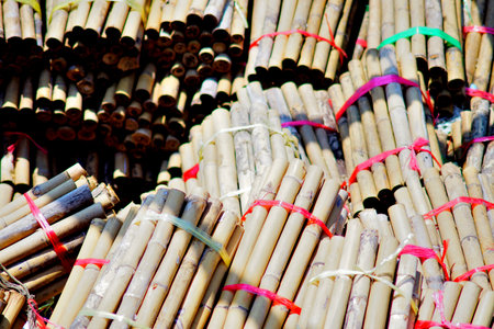 Group of bamboo stick tied with ropeの写真素材