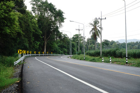 Empty curve road with tree besideの写真素材