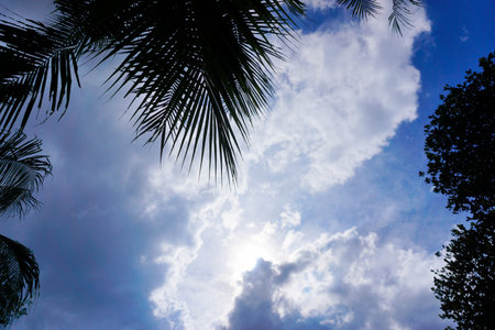 Clouds in blue sky with tree silhouette foregroundの写真素材
