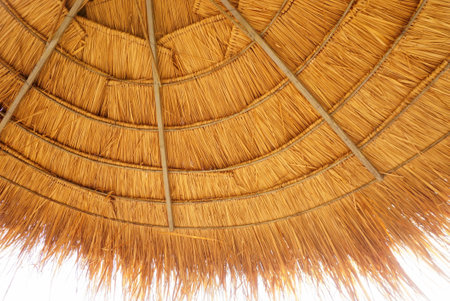 Under the thatched roof with white sky, Low angle view