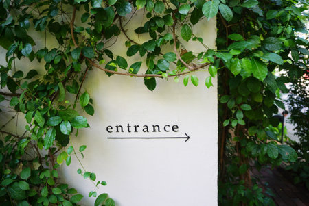 Entrance text with arrow sign for direction with ivy at wall backgroundの写真素材