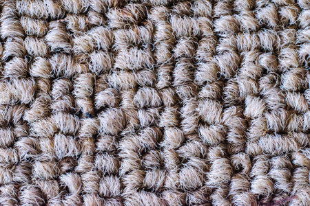 Close up macro of Carpet texture backgroundの写真素材