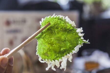 Fresh green Shiso leafの写真素材