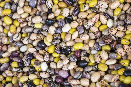 Background from multi-colored beansの写真素材