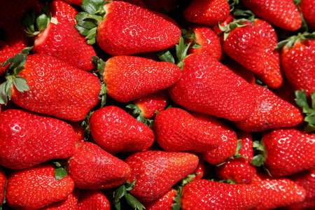Ripe strawberries background. On the counter. Outdoor marketの写真素材