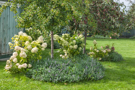 Decoration with flowers and trees around the house. Lawn, flowers, fruit treesの写真素材