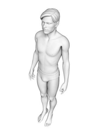 Illustration of human body anatomyの写真素材