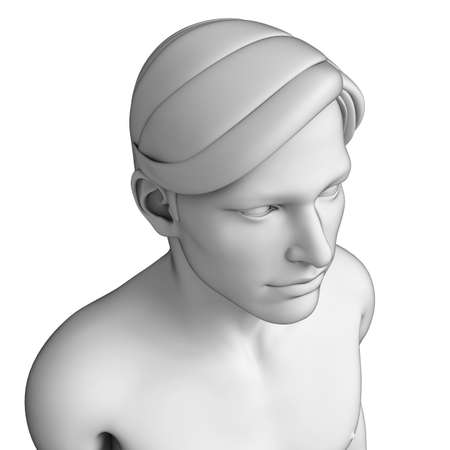 Illustration of male head anatomy artworkの写真素材