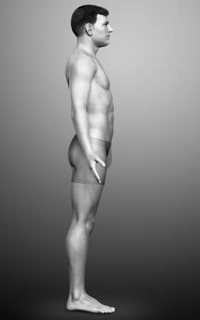 3d rendered illustration of the male bodyの写真素材