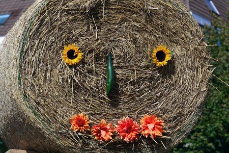 strawの写真素材