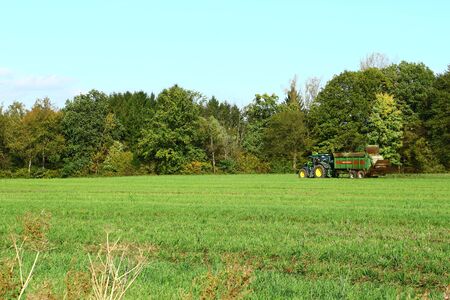 Applying fertilizer in autumnのeditorial素材