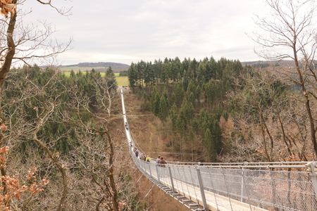 The Geierlay suspension cable bridge in Hunsr?ck