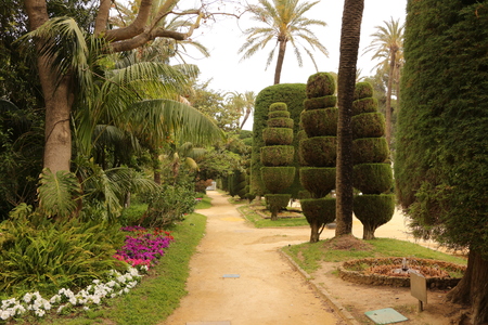 Park in the center of Cadiz in Andaluciaの写真素材