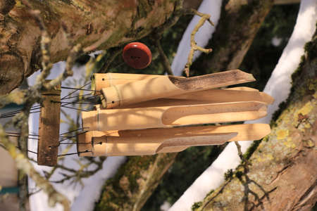 A wind chime hangs on a tree as a decoration