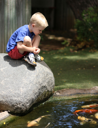 Young boy sitting on a rock and staring at koi fish in a pondの写真素材