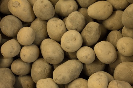 Potatoes on market macro. Vegetables background. Vegan food. Dirty  dark not clean closeup.の写真素材