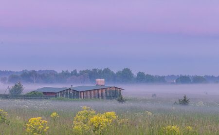 Old wooden retro rustic vintage house in the steppe. Fog at field in the evening, forest at the...