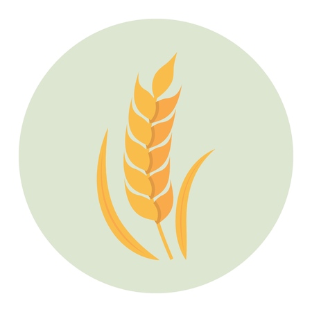 Wheat flat icon on white backgroundのイラスト素材