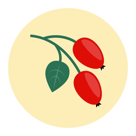 Rosehip icon flat on white backgroundのイラスト素材