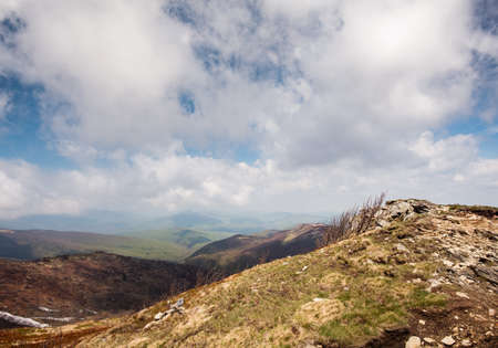 Green valley with trees and hills in Polish mountains Bieszczady in spring.の写真素材