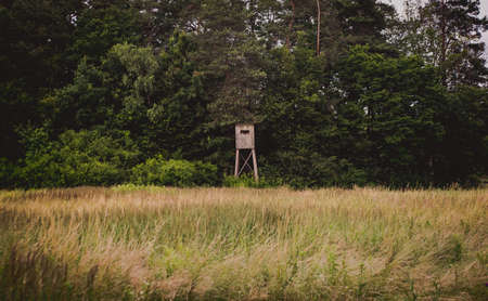 Wooden Hunters High Seat hunting tower on the green agriculture field.の写真素材