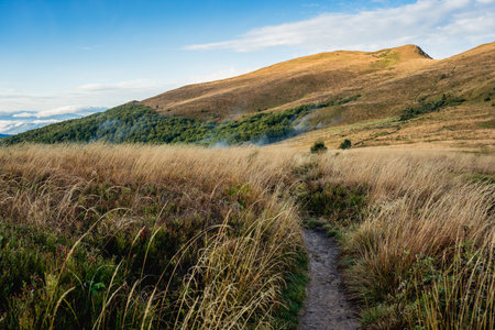 Hiking trail in the mountains. Carpathian, Ukraine.