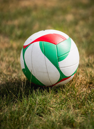 Soccer ball on the grassの写真素材