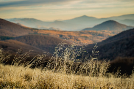 Mountain autumn landscape with grass in the foreground and mountains in the backgroundの写真素材