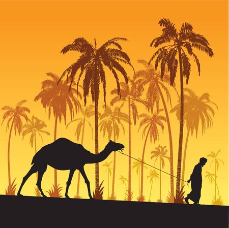 Sahara desertのイラスト素材