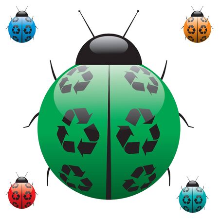 Recycle Ladybirdのイラスト素材