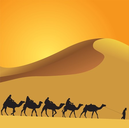 Sahara lifestyle and camel caravanのイラスト素材