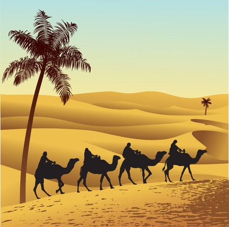 Sahara lifestyle and camel caravanのイラスト素材