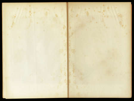 old yellowed blank two pages with path