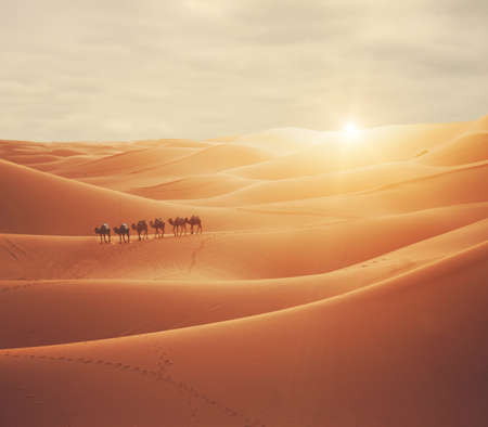 panoramic sahara scenicの写真素材