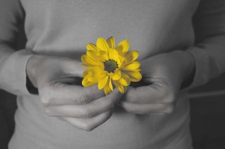 Springの写真素材