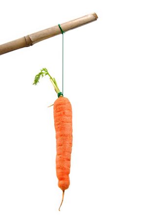 Carrot on a stickの写真素材