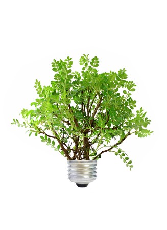 Eco conceptの写真素材
