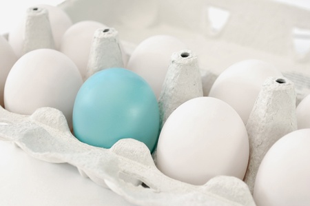 Blue eggの写真素材