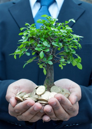 Tree in the hands of a businessmanの写真素材