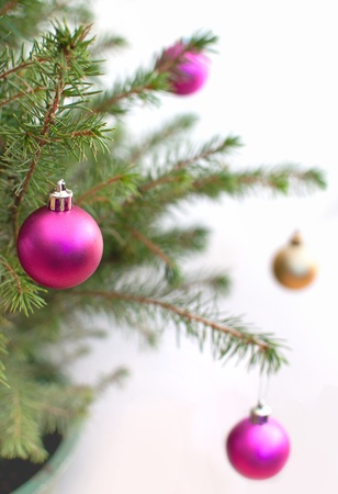 Christmas treeの写真素材