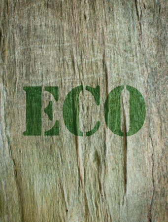 Eco 