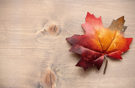 Autumn leaves on top of a wooden background with spaceの写真素材